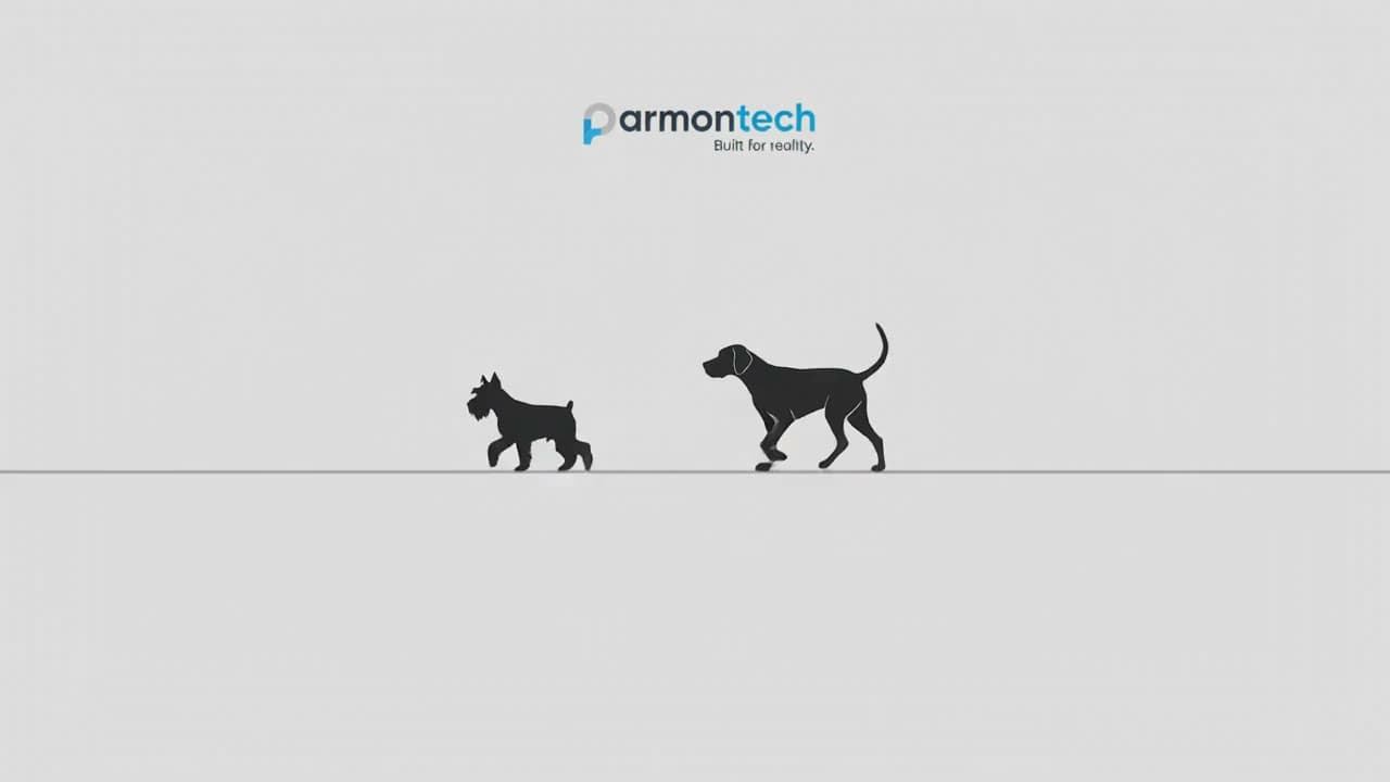 Paris y Simón, los dos perros que dan nombre a la compañía, caminando juntos
