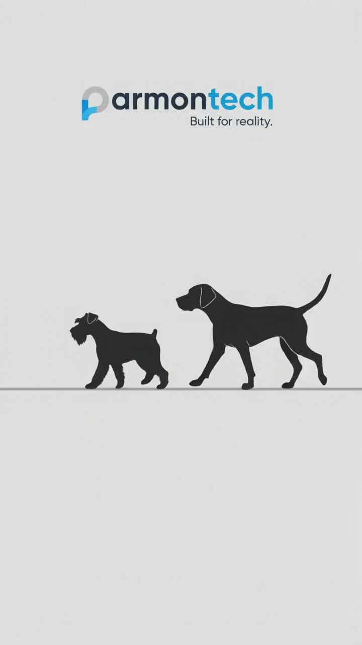 Paris y Simón, los dos perros que dan nombre a la compañía, caminando juntos